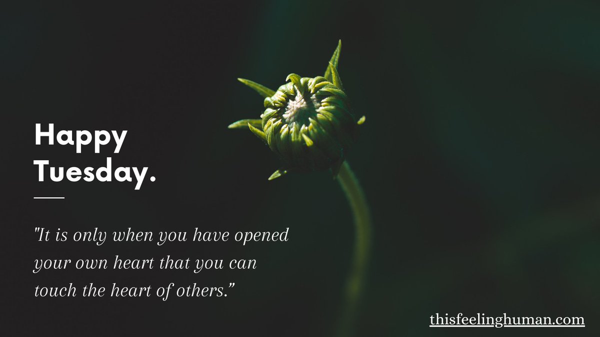 thisfeelinghum1's tweet photo. “Tears come from the heart and not from the brain. Only when you have opened your own heart can you touch other's heart.” When was the last time you opened your heart to someone? Check out https://t.co/XdA8Puzf2I
#heart #openyourheart #peace #selfdevelopment #thisfeelinghuman https://t.co/gvqoIXevCQ