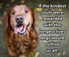 JohnSmi7513's tweet image. 