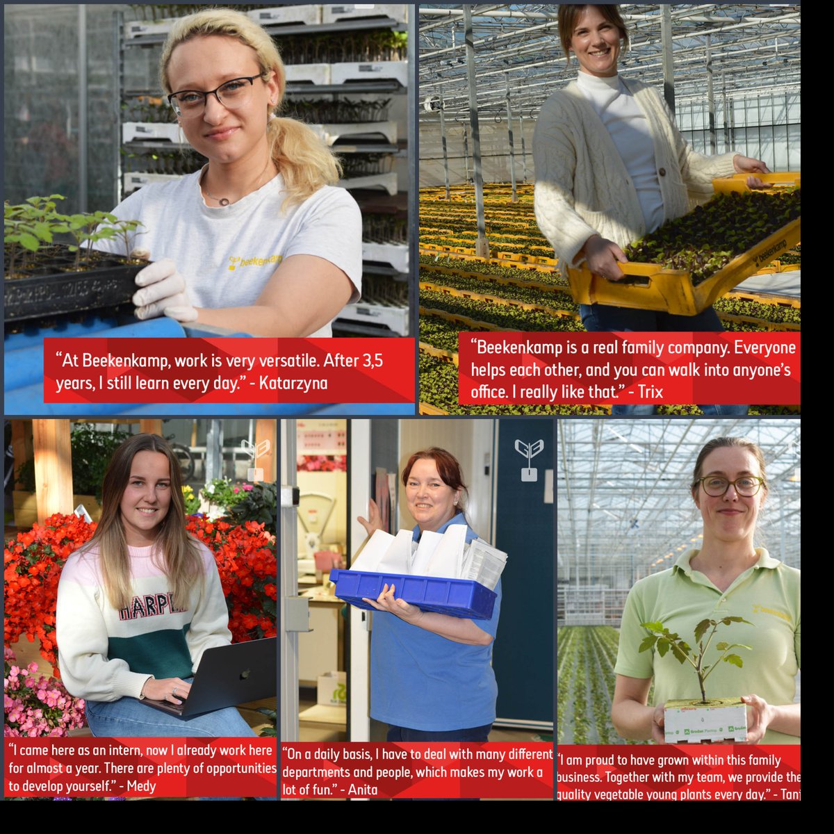 BeekenkampNL's tweet image. Today is International Women's Day! 💪👩

We are very proud of all the hard working women at Beekenkamp Plants. That's why we put five of them in the spotlight today. ☀

#womensday #women #horticulture #tuinbouw