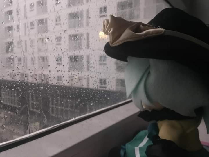 algormortis_fr's tweet image. If I hadn&apos;t known fumo, I would have been sad.
#thirdconditional