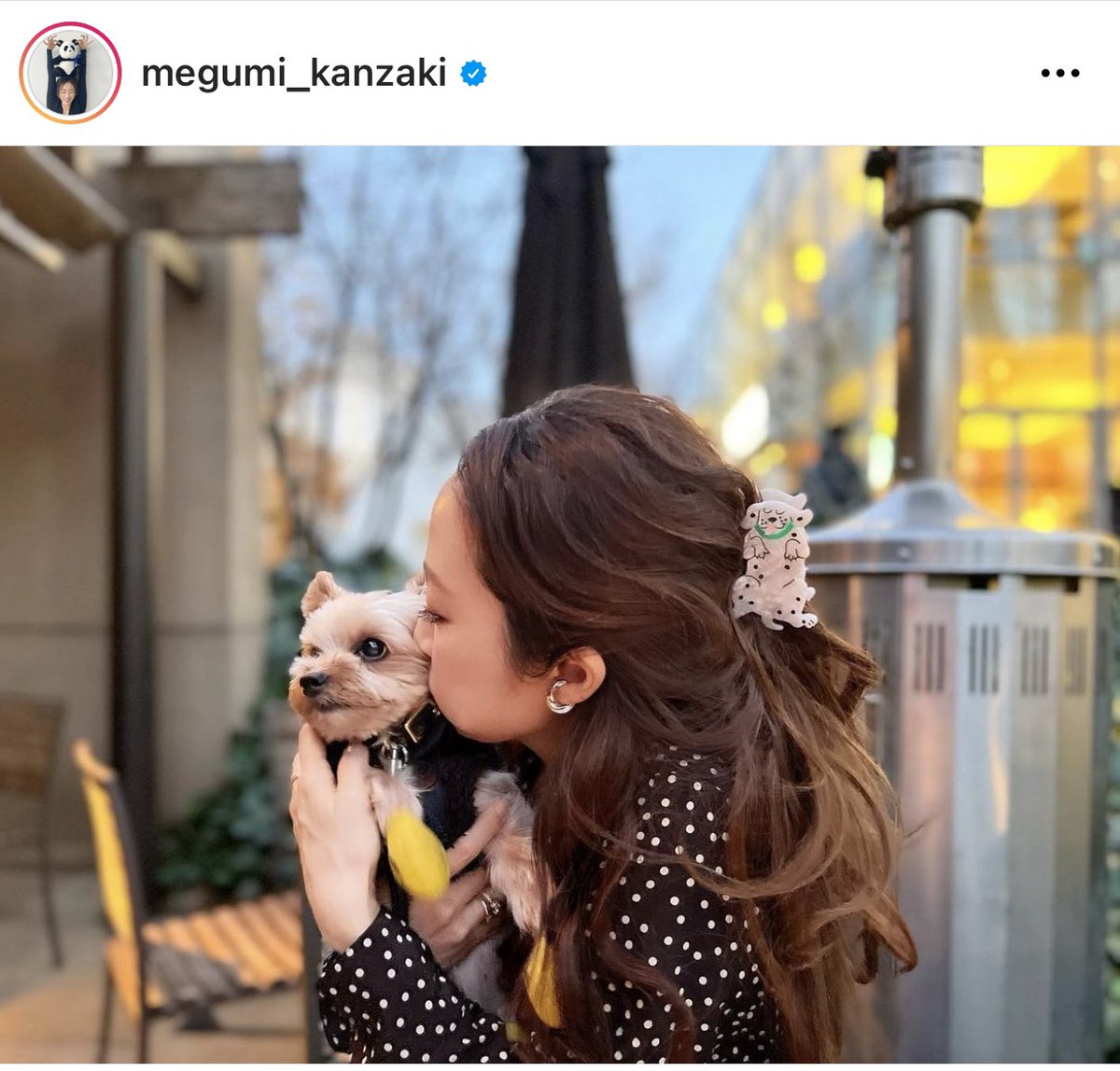 ククシュゼット　ヘアクリップ　猫　キャット　バンスクリップ　神崎恵 TLで見かけて一目惚れ🥺💘即ポチったCoucouSuzetteのヘアクリップ