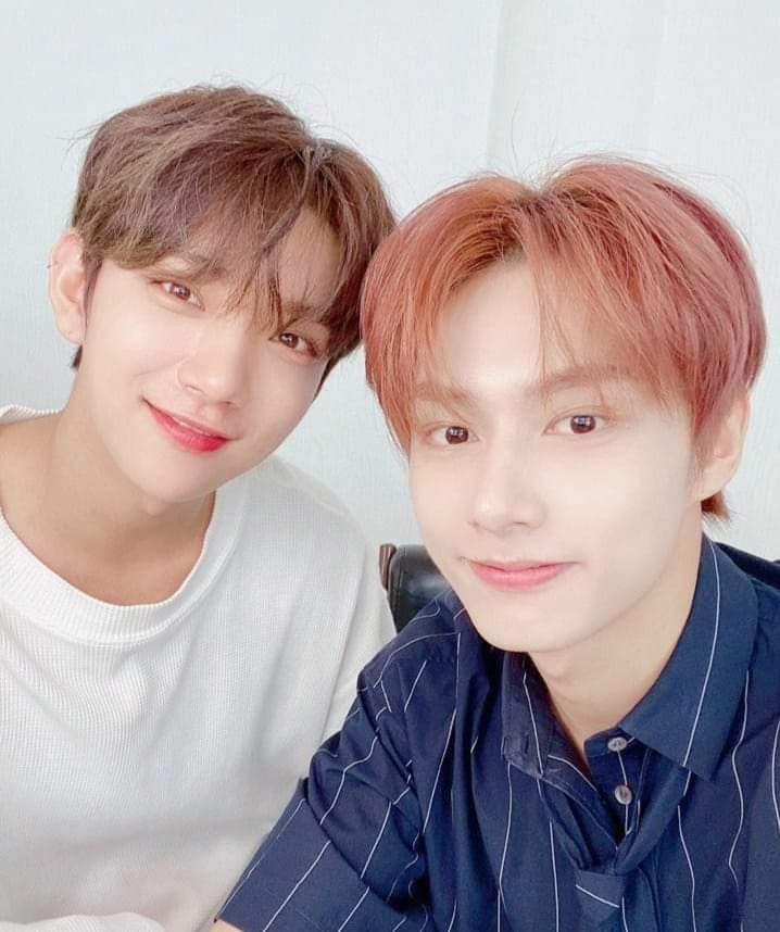 yllaszznnnn's tweet photo. 😭😭😭 🐱😼
#GetWellSoonJun #GetWellSoonJoshua #SEVENTEEN #세븐틴 #セブンティーン #あいのちから https://t.co/x9Xdg8ybnT