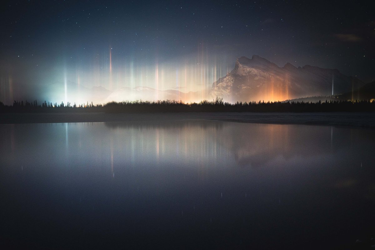 Adam Goodwillie tweet media