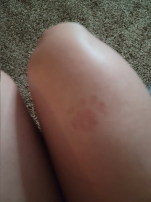 Sorry tonight was short but I'm dehydrated an I haven't slept so going to drink water an rest see ya