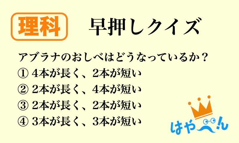 はやべん 小中高生向けの早押しクイズ学習アプリ 中学受験生必見 今日は おしべ について 中学受験 勉強 学習アプリ 暗記 国語 理科 社会 T Co L2llizlbmn Twitter