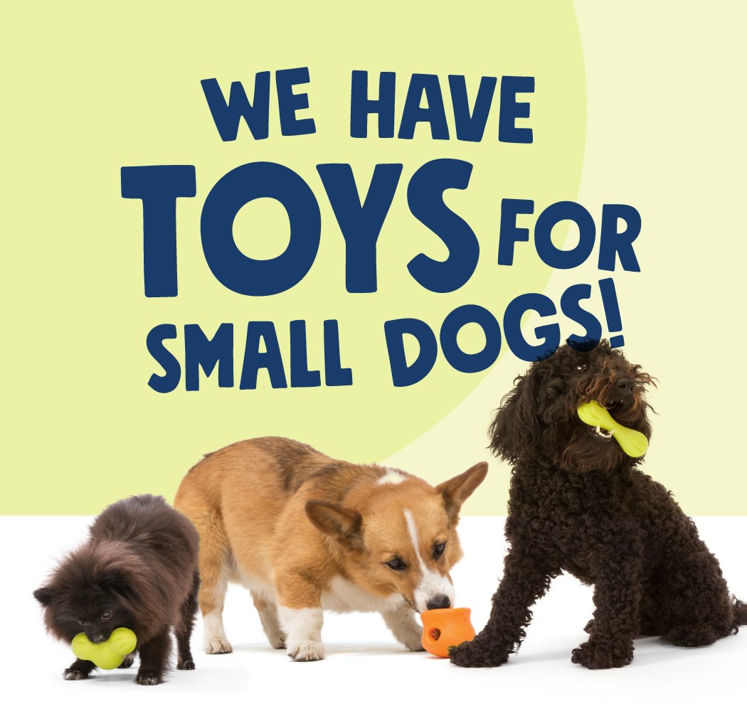 West Paw tweet media