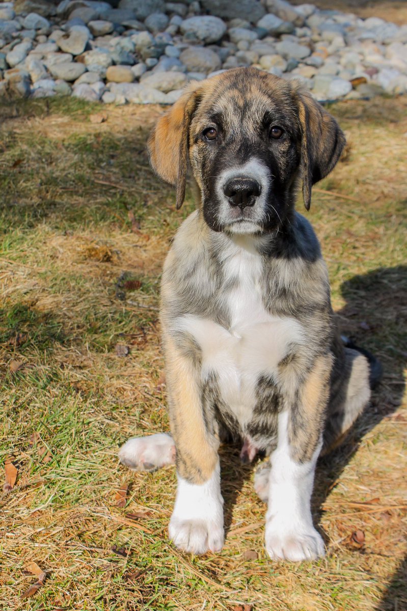 roamwiththem tweet media