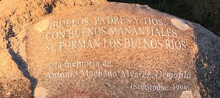 Parque del Alamillo tweet media