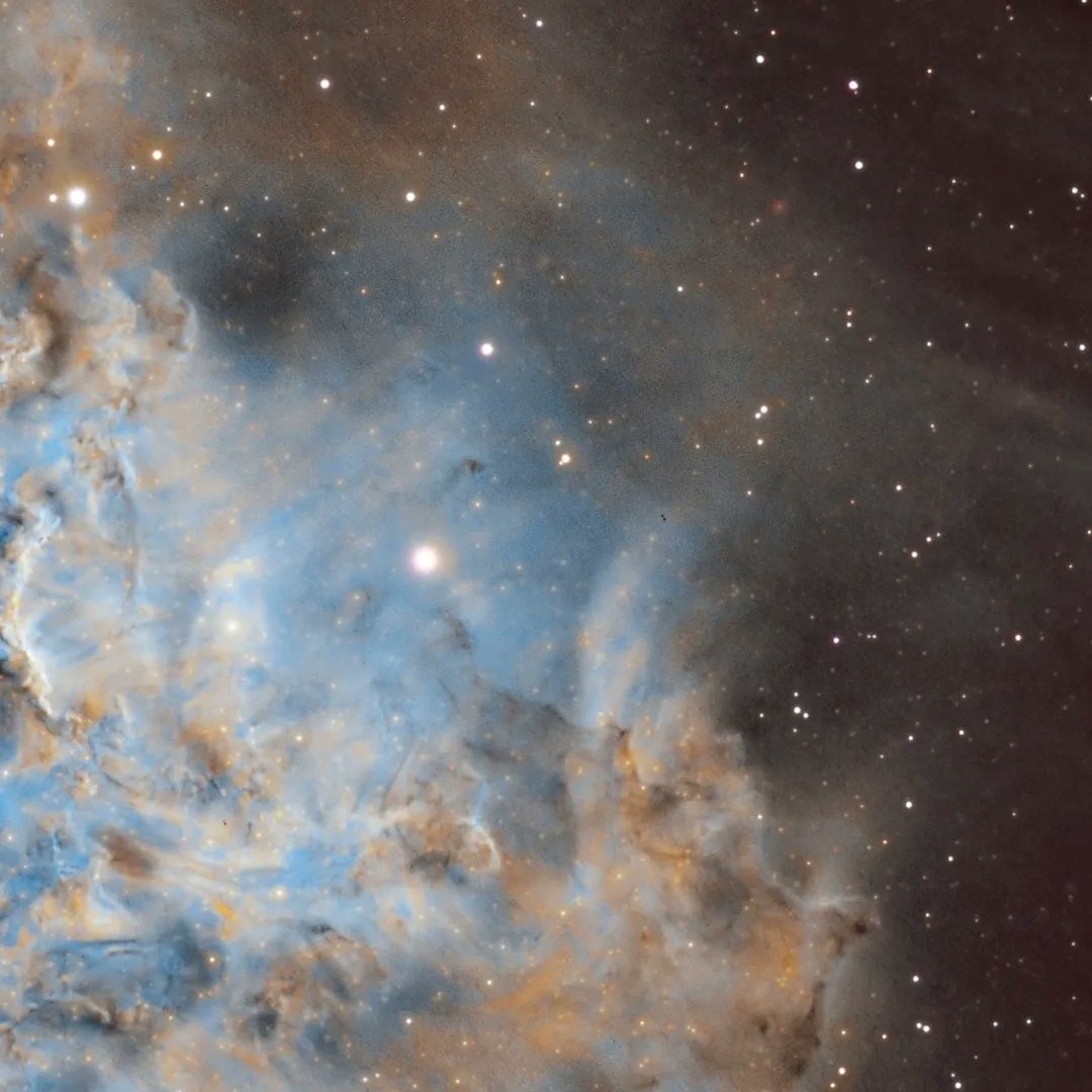 Mathew Ray tweet media