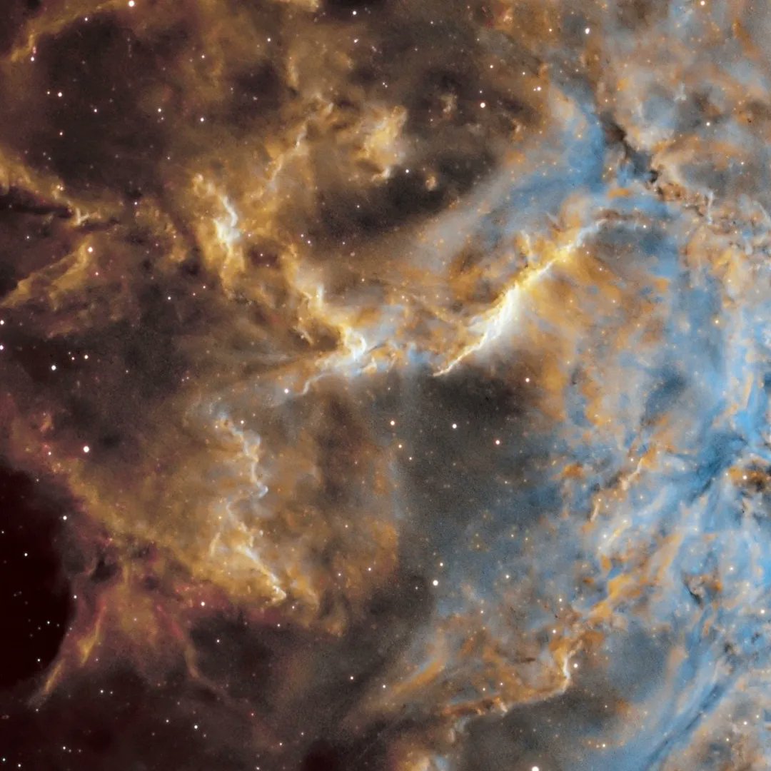 Mathew Ray tweet media