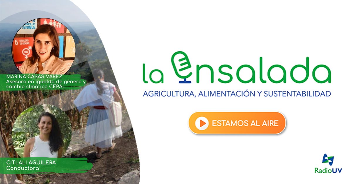 EnsaladaRadio's tweet photo. ¡Estamos #AlAire!🥗
Escucha @RadioUV 90.5 FM o https://t.co/hMG2nt6SYF 

Inicia el día con @citlaguilera, el tema es:

#Repetición
GÉNERO Y CAMBIO CLIMÁTICO👩🏽‍🌾🌦️🌎

🌎En #LaEntrevista escucharás a @MarinaCasasV, especialista en cambio climático y equidad de género de @cepal_onu. https://t.co/ujIXmYNoeU