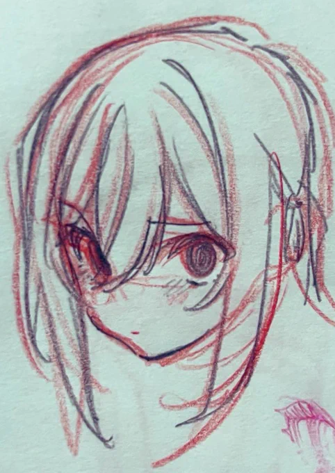 数ヶ月前のスケッチメア
アナログラフの方が上手く描けてるし表情も豊かだからデジタルより可愛い気がする… 