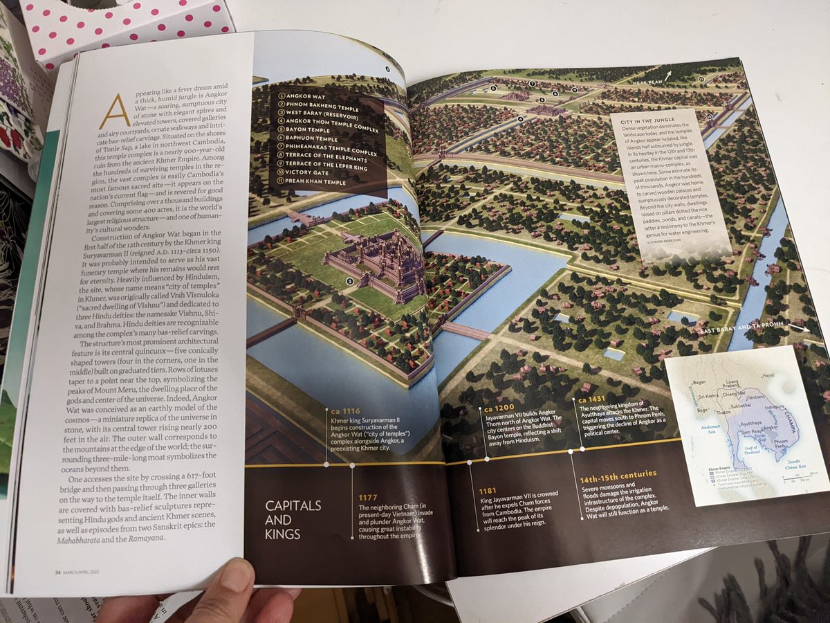 alisonincambo tweet media
