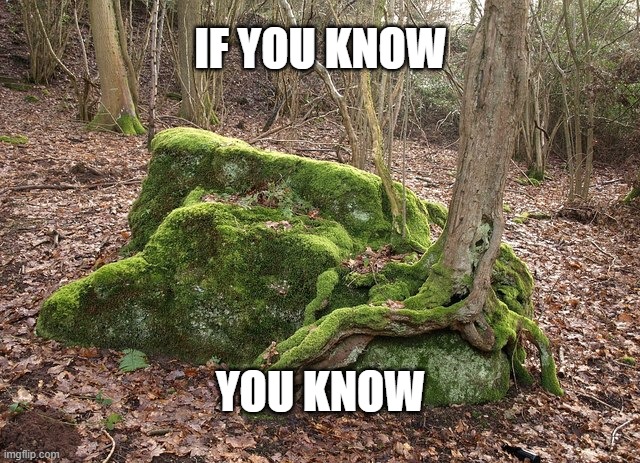 hoppelhoop's tweet photo. Only the most cultured people will understand https://t.co/LDYZhRyDWG