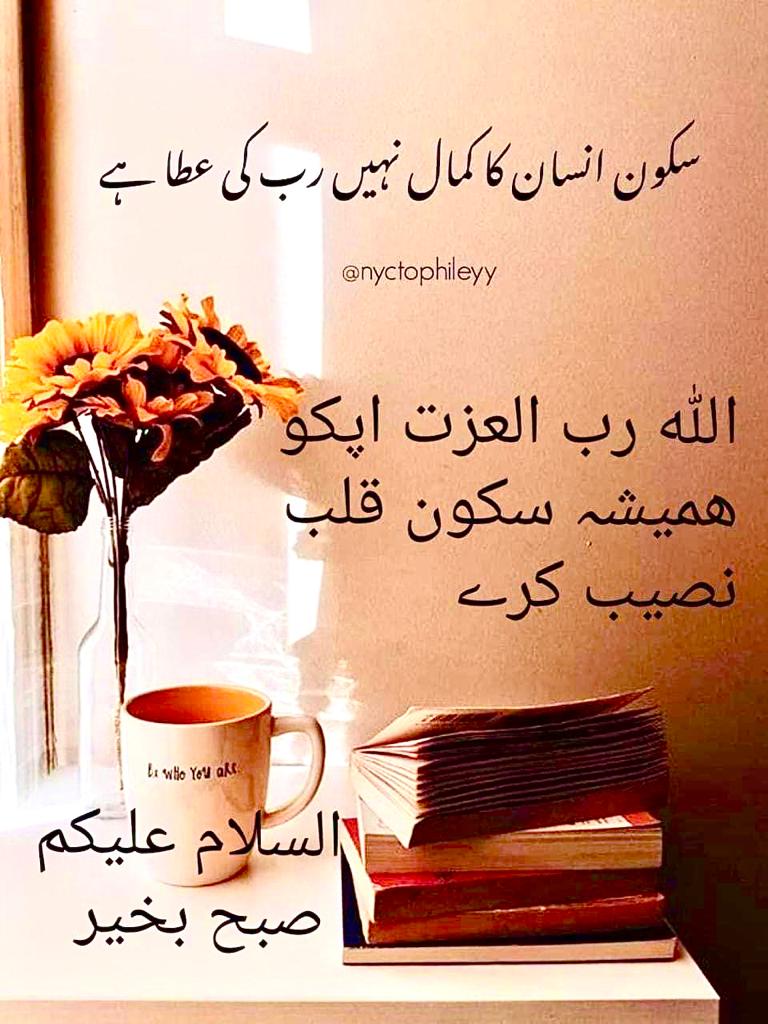saqlain161577's tweet photo. https://t.co/GOkZvx2DMs