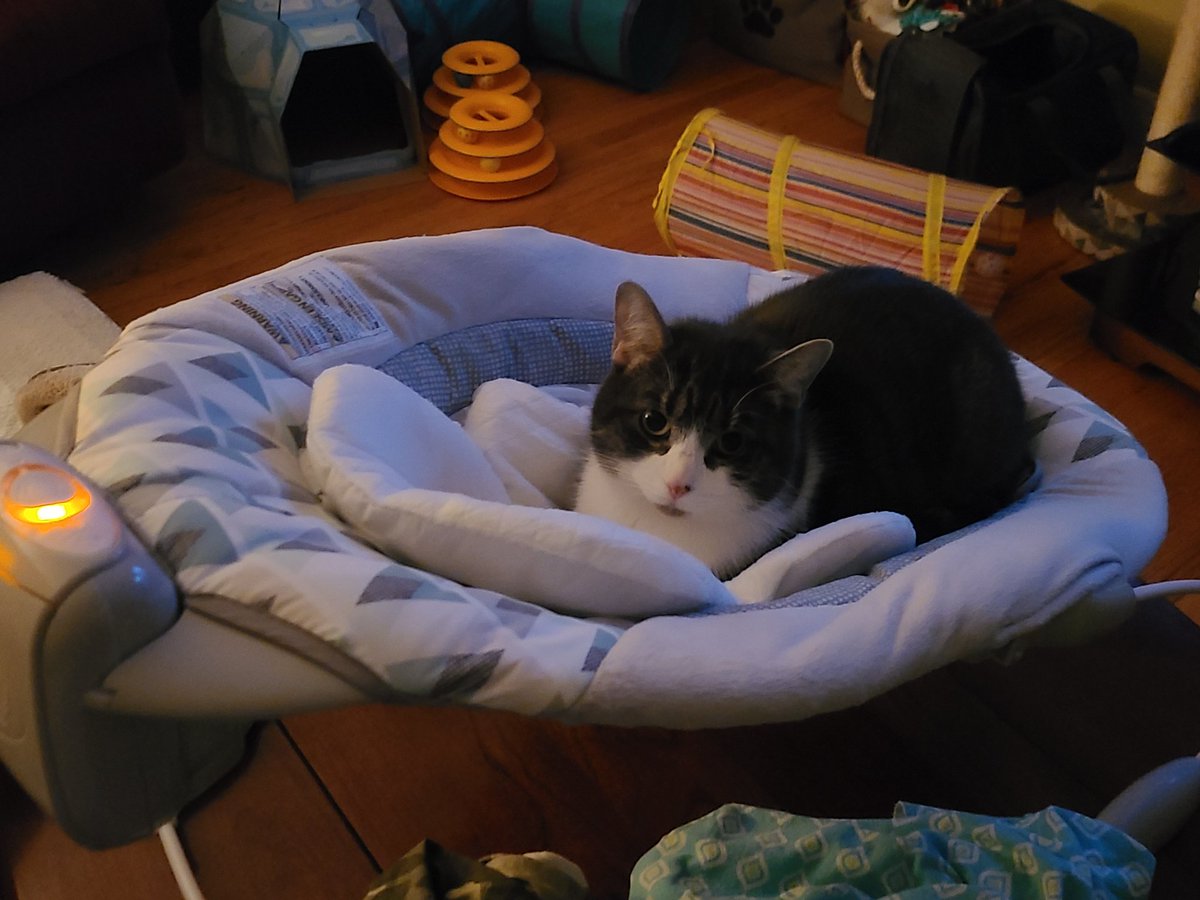 floppwop's tweet photo. "but mommy, I'M the baby!" - Dweepy on his 2nd birthday https://t.co/cYW5TEbt1O