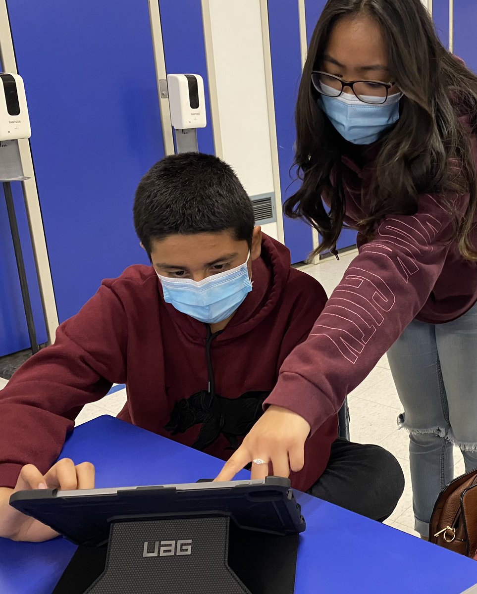 Sarah Cameron tweet media