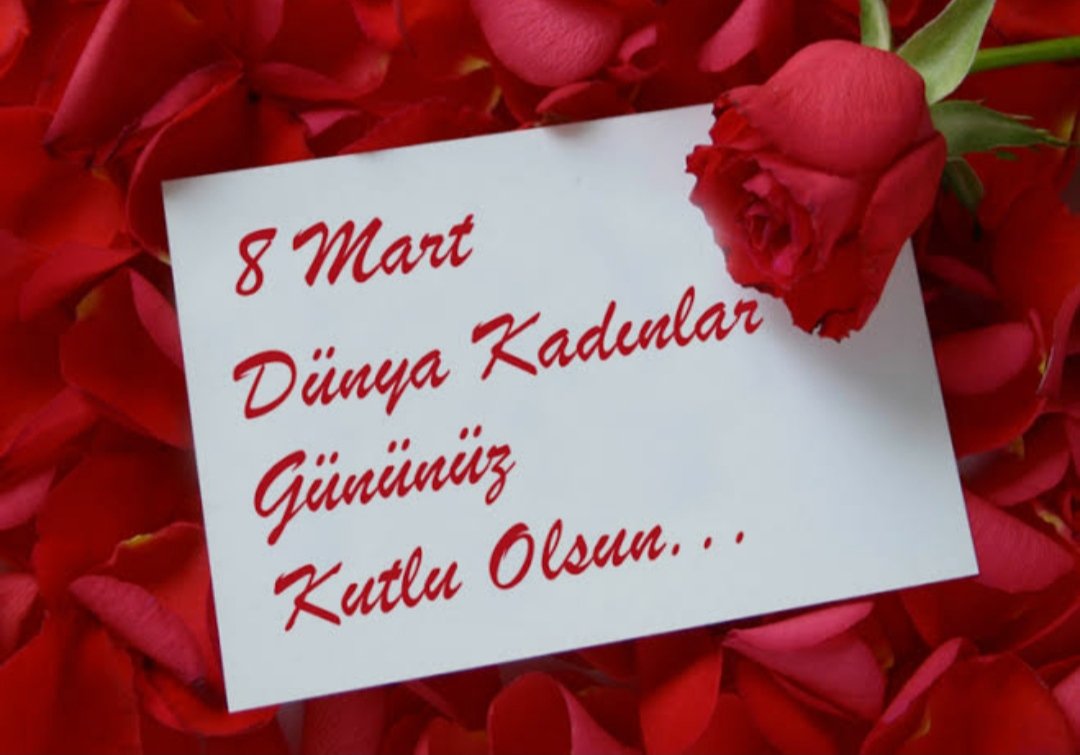 ibrahimakogluio's tweet photo. #8martdunyakadinlargunu  kutlu olsun. https://t.co/94osBgj4fb