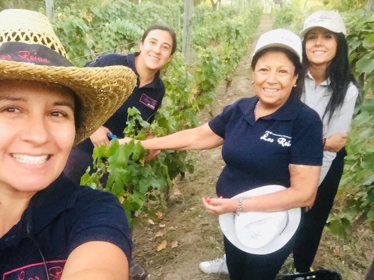 ¡Feliz día a todas las #mujeres que se animan a cumplir sus sueños y pensar en grande!👏👏👏👏👏🍷🍷🙂

En especial a las hacedoras de <a href="/VinoLosReina/">Vino Los Reina</a> 🍇🍷🍷

<a href="/SoledadReina2/">Sole  Reina</a> 

#8M 

#Salud