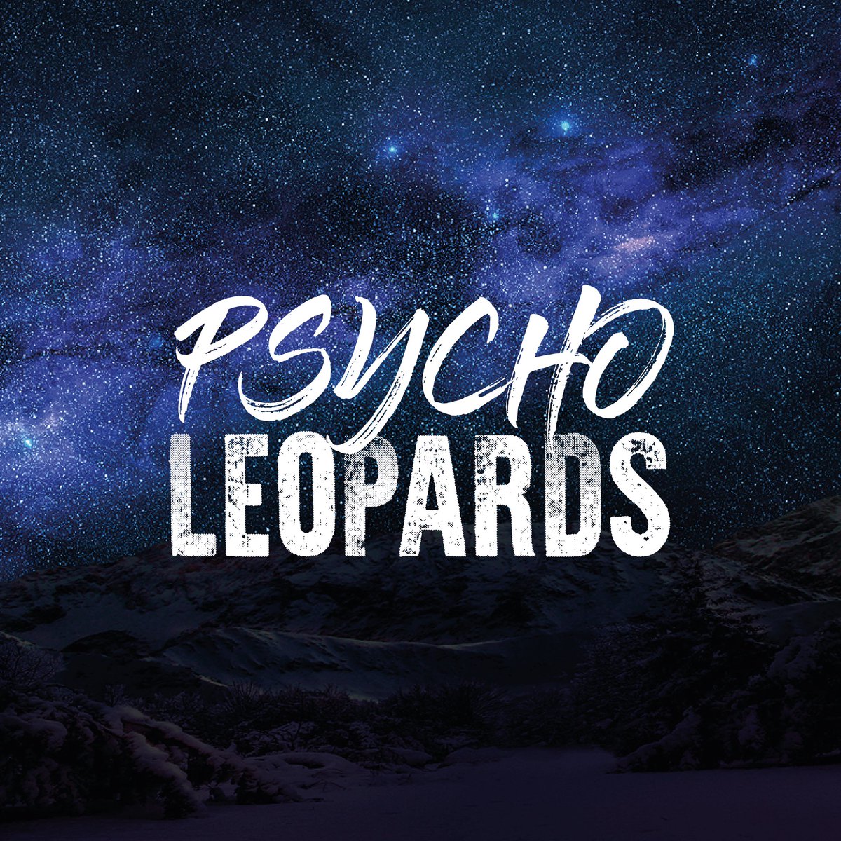 PsychoLeopards's tweet photo. LFG!! 🔥 #PsychoLeopards 

#NFTs #NFTCommunity #NFTCollection #nftart https://t.co/d9Sq3G08rO
