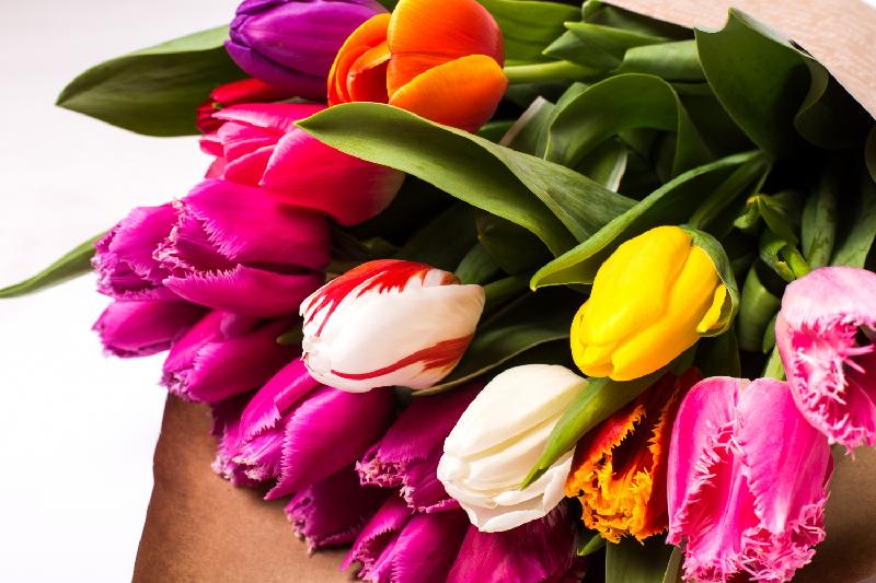 Дорогие читатели!
💐Примите самые искренние поздравления с прекрасным весенним праздником  #МеждународныйЖенскийДень !

🌺Пусть в вашей жизни множатся и остаются самые светлые события и воспоминания, успехи и достижения.
#8марта #ДворецКниги #Культура73