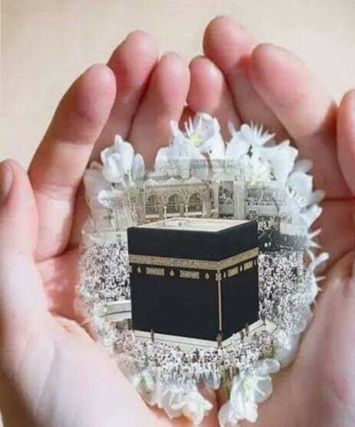 ﴿ وَ الصُّبْحِ إذَا تَنَفسَ ﴾

 اللهُّم أكتب لنا من أَنفاس هذا الصباح عِلماً و رِزقاً و فَهْماً و بِشارة تسعد بها قلوبنا 

صباح الخير