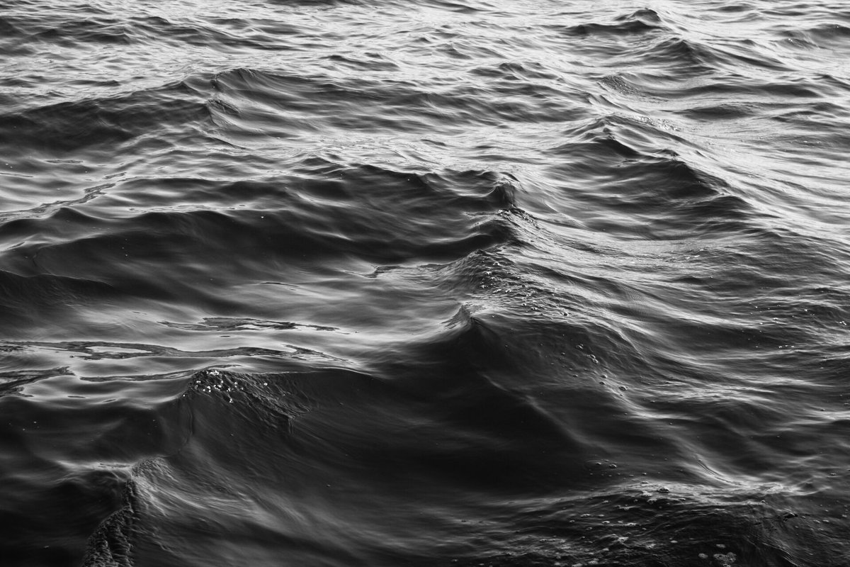 elenagomezsz's tweet photo. el mar, una probada de la vida https://t.co/Fh9HDd7EGo