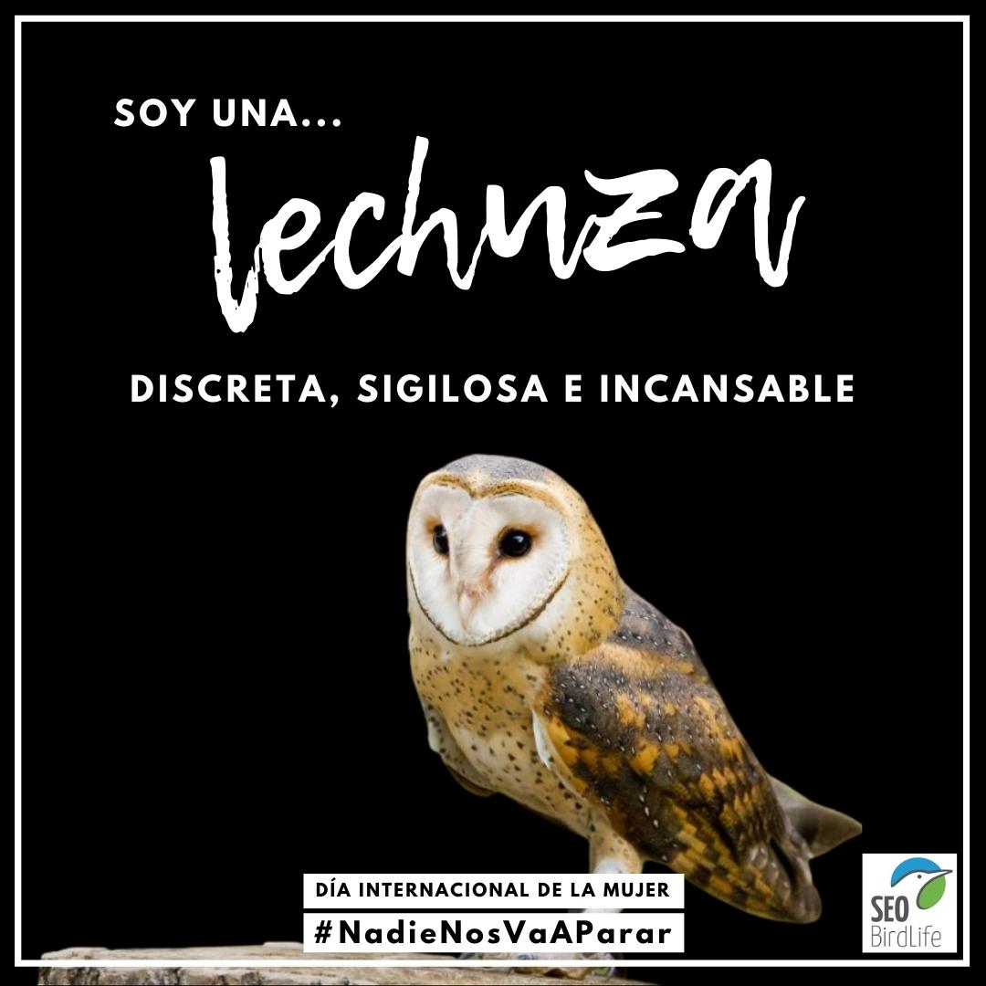 SEO/BirdLife tweet media