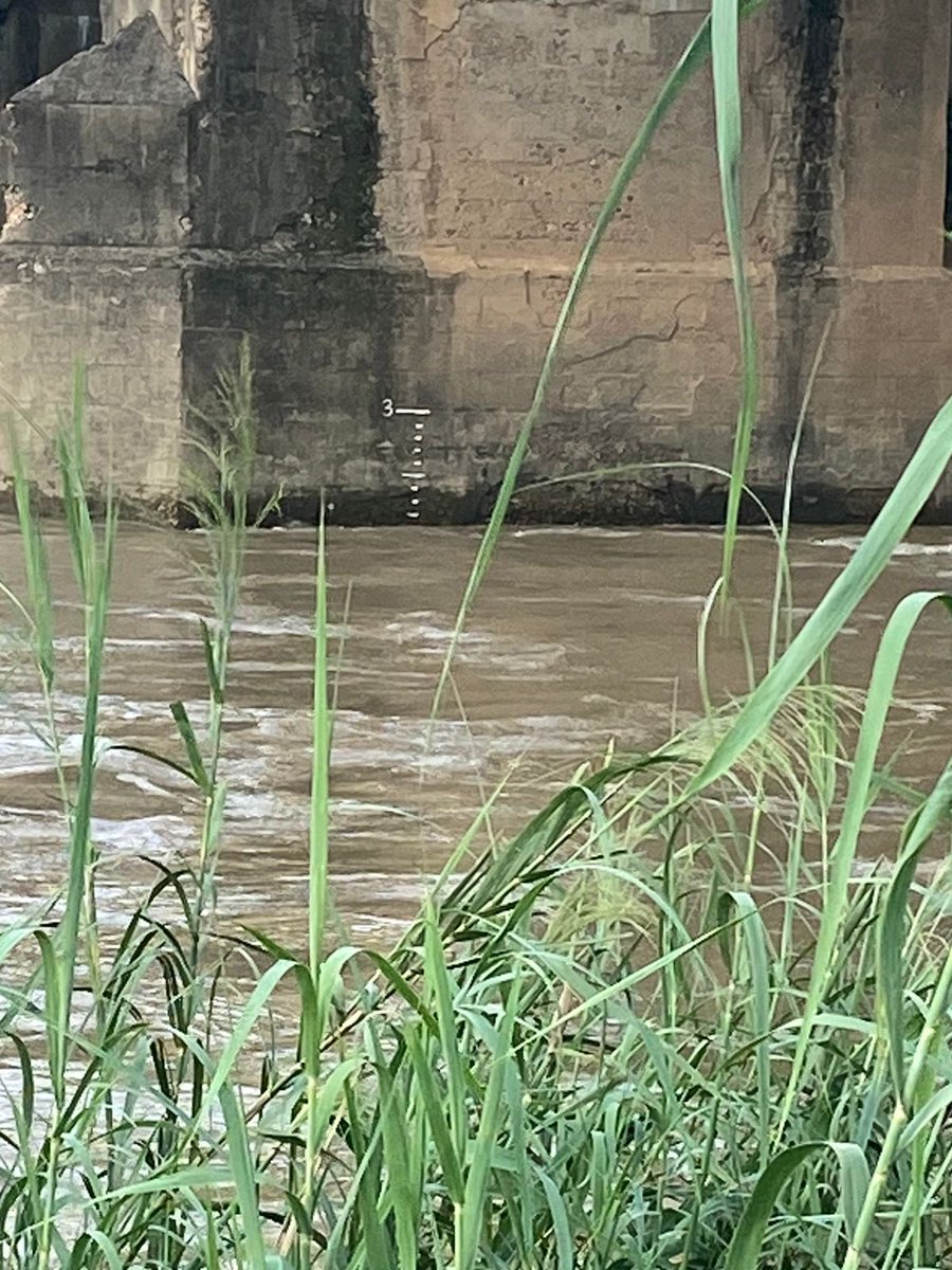 Water at 2.1m yesterday afternoon with good rain forecast for the next 3 days. Expect great water for the weekend.