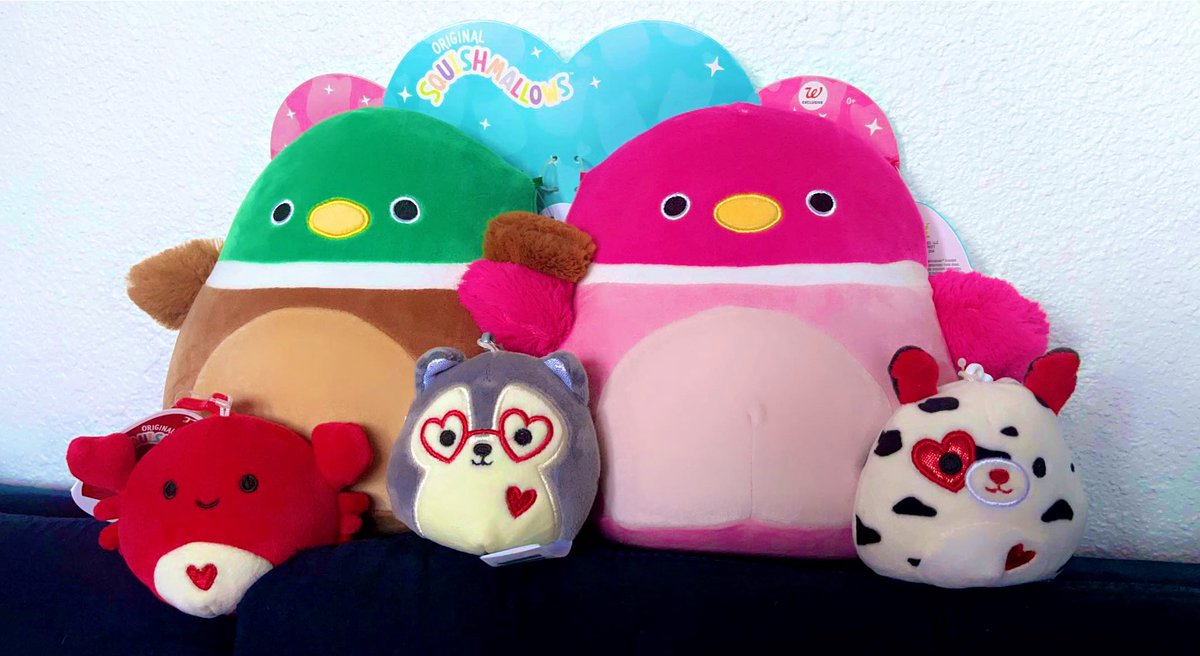 _lilinoe_'s tweet photo. My new squish babies🥰 @squishmallows 
#squishmallows #squishfinds https://t.co/B1cmY5gqp5