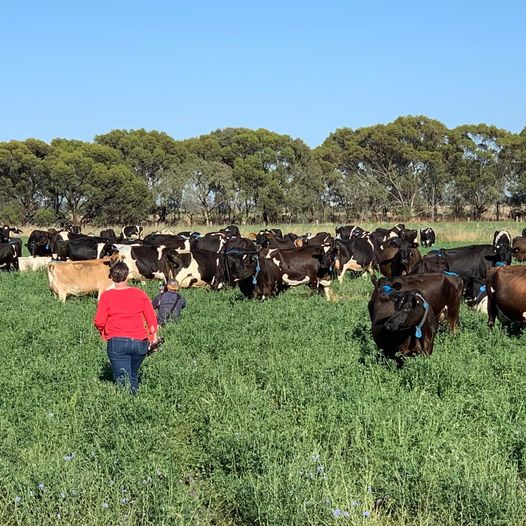 RivergumComms's tweet photo. Today we celebrate all women and recognise their contributions to the Ag sector. We are proud to work with so many talented and passionate women in our industry! 

#WomenInAg #IWD #BreaktheBias https://t.co/3WWBOHrNWY