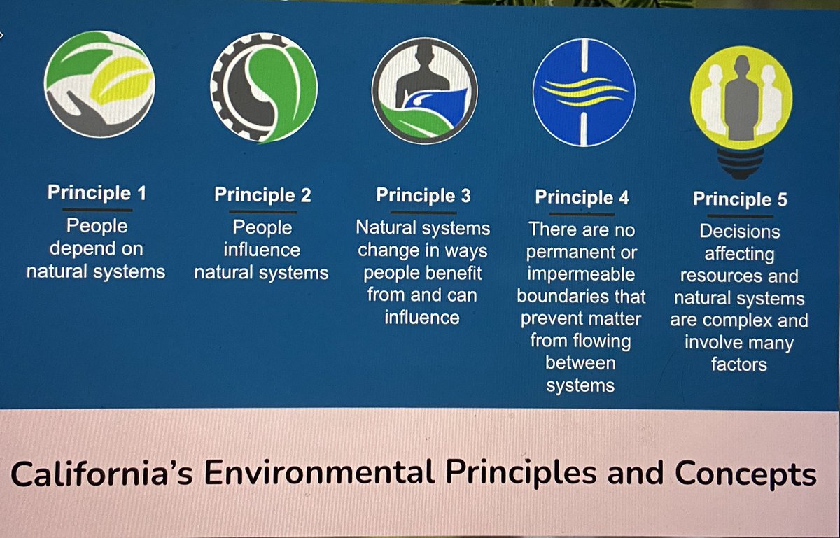 ChienforSTEM's tweet photo. Looking forward to connecting with @VUSDHR educators at the March 2022 PD! Let’s get our science on! #VUSDscichella #environmentalscience #NGSS #CANGSS https://t.co/Hc54oAzFvi