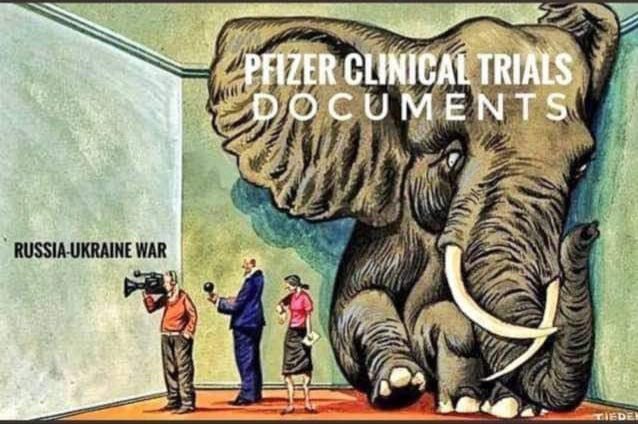 Zimasabuhle's tweet photo. Mainstream media right now 
 #Pfizer https://t.co/DglDHs2Qe0