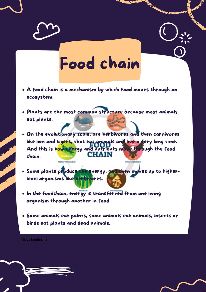 Do you know about, Food Chain!!
#BellaChallenge 
Day50
<a href="/BlueStudios_io/">Blue Studios Labs</a>
@bluestudiosNFT
#NFTCommunity 
#Learn2Earn