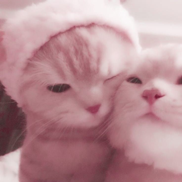 BOOSTING SERVICE PRICELIST.

FBA.
₱60 per 1k ffs
₱40 per 100 reacts
₱50 per 100 page likes and followers