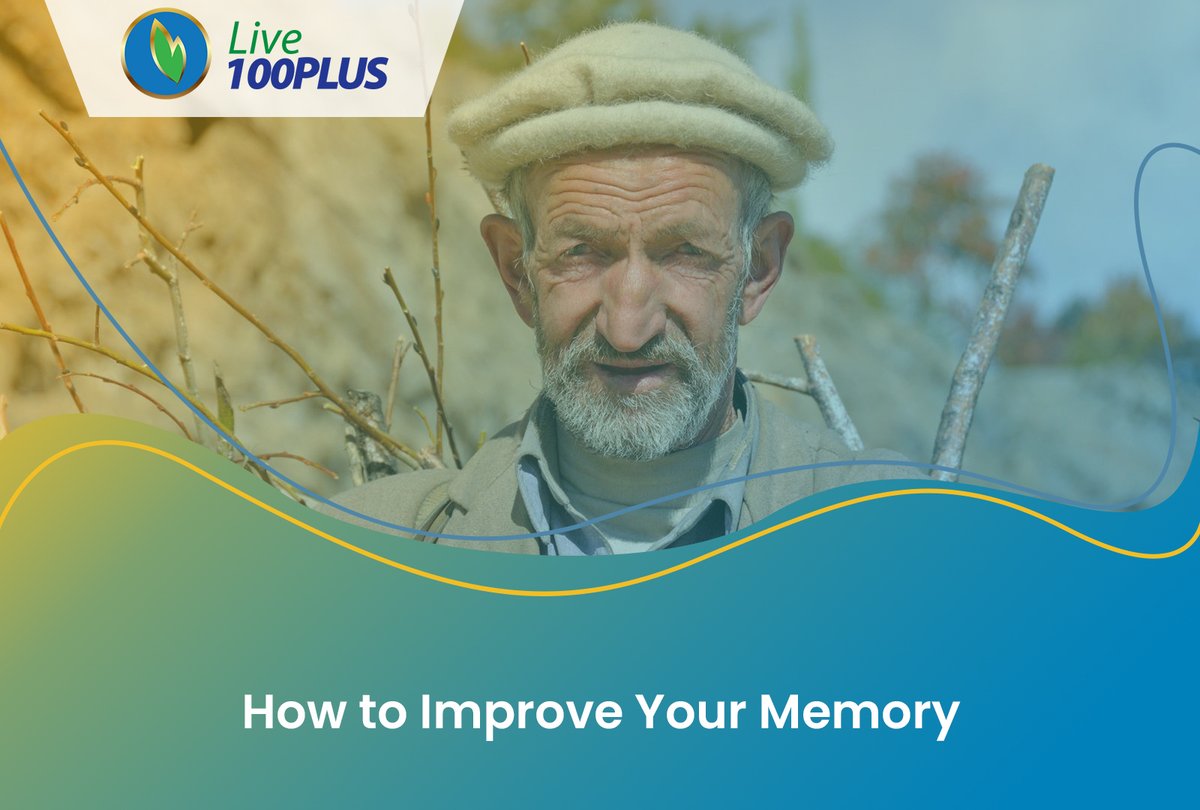 Live100Pluss's tweet photo. How to Improve Your Memory
 #BrainFort, which is the best herbal, dietary and nutritional supplement for strengthening brain, memory retention and enhancement, and controlling dementia and Alzheimer.https://t.co/yI4aHAAv4U https://t.co/BU7DeKfqS3