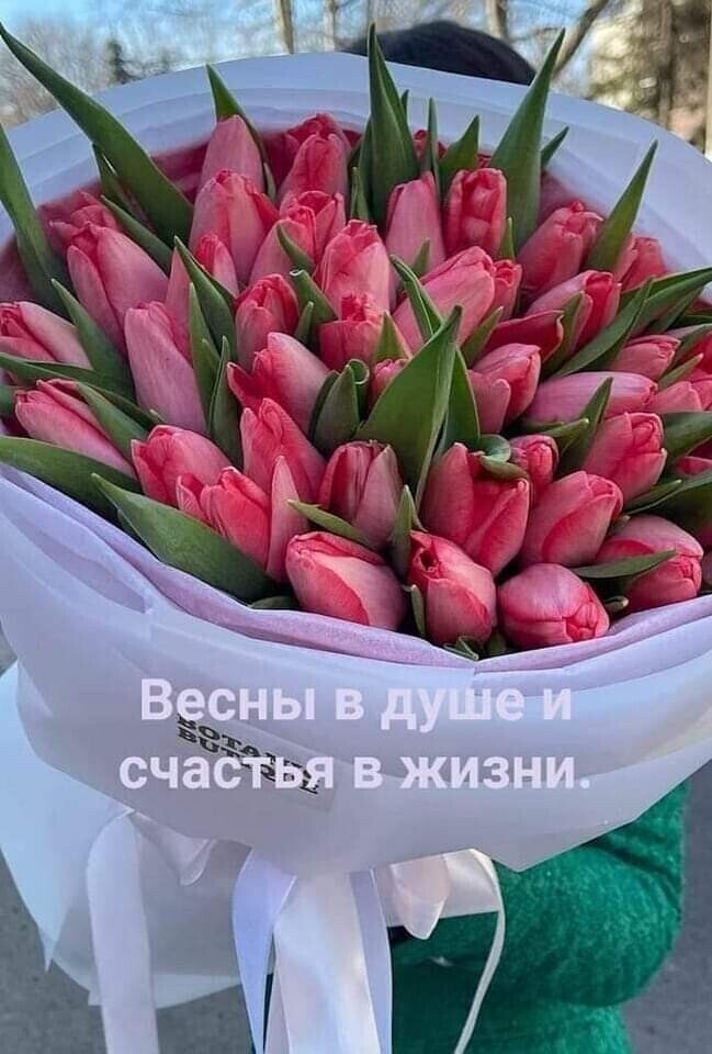 Adult_girl125's tweet photo. ... С Праздником весны, Девочки!!!... 🌷🌹🌺🤗 https://t.co/fYrO8RSl9t