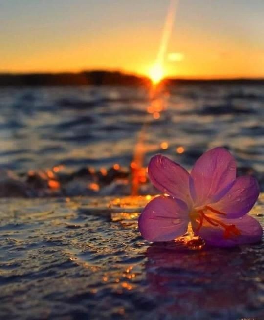 ❤️ لن تكونوا مُؤمنين حتّى تعدّوا البلاء نِعمة

اﻹمام الكاظم (ع)

يا رب ثبّت قلبي 🌸

              #نورٌ_للقلوب 💕