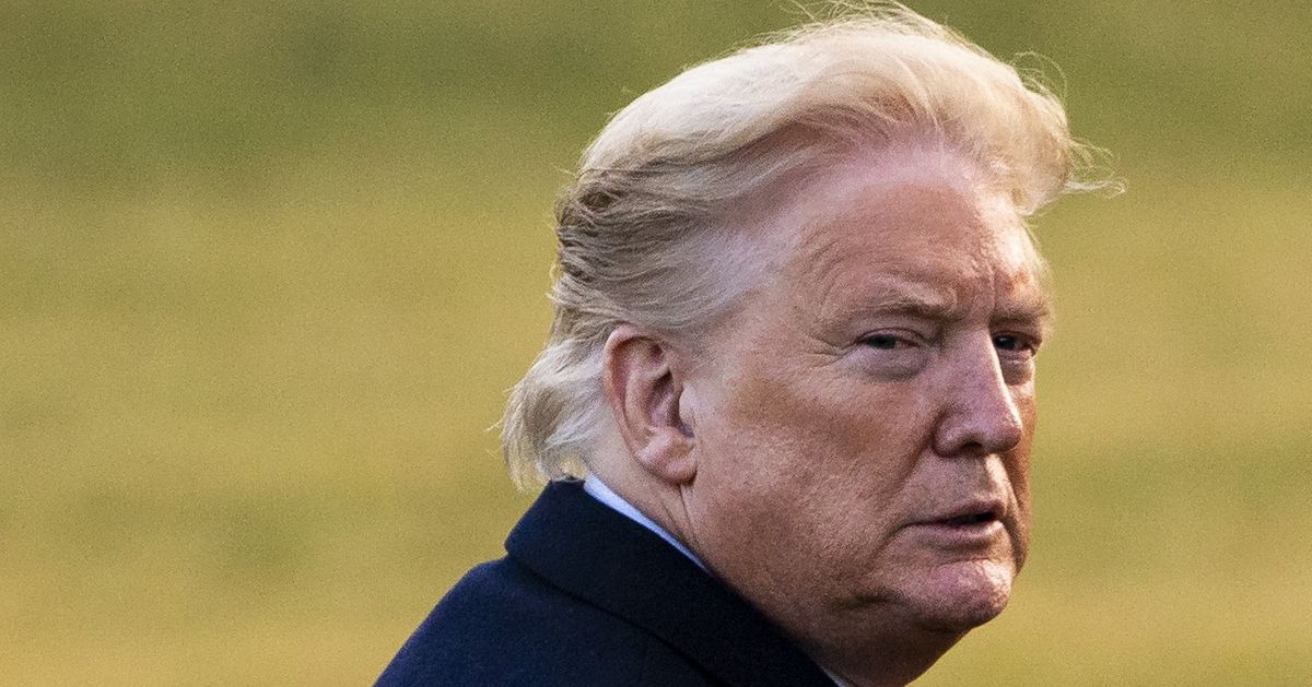 jpreyes's tweet photo. @devildoge9 @mf_nightmare @1206geauxtigers @beachbirds72 The best president in the history of our country! And our next president in 2025! Let's go Brandon! https://t.co/GlyqBY3Izw