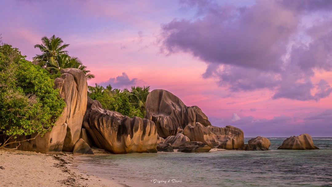 visitseychelles's tweet photo. Another magical sunset in the #seychellesislands! ✨
Photo credits: souljang
#visitseychelles #experienceseychelles #sunset #seychellessunset https://t.co/733gdSsEYb