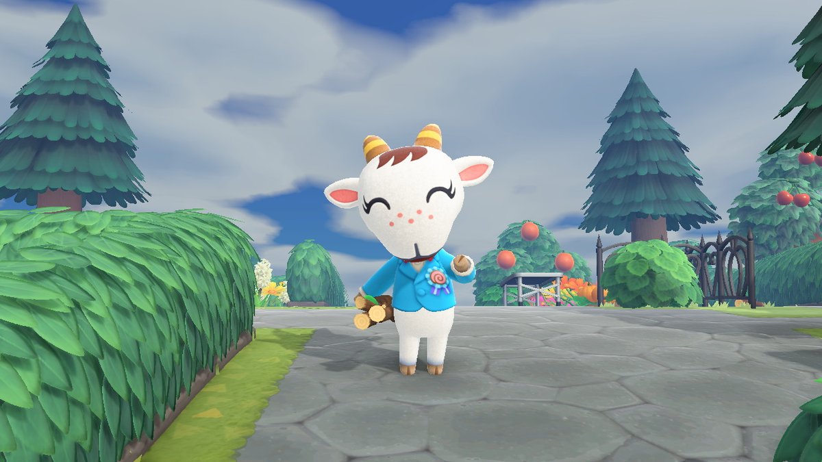 cherybunbun's tweet photo. Chevre loved her gift. That was perfect <3 #acnhchevre #AnimalCrossing #ACNH #NintendoSwitch https://t.co/b4N64atPsT