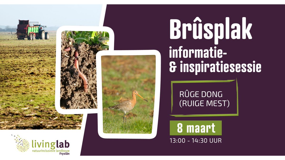 BoerenNatuurFRL's tweet photo. Vandaag van 13.00 - 14.30: de online Brûsplakbijeenkomst Ruige mest; meerwaarde vr bodem en weidevogels.
- Tim Visser – onderzoeker @WUR
- Henk Oud - mozaïekregisseur bij @VerenigingNFW
- Jelte Bakker - melkveehouder uit #Ginnum
Ben je erbij? Link: https://t.co/A5YLg7M1oc https://t.co/An5VUvrvta