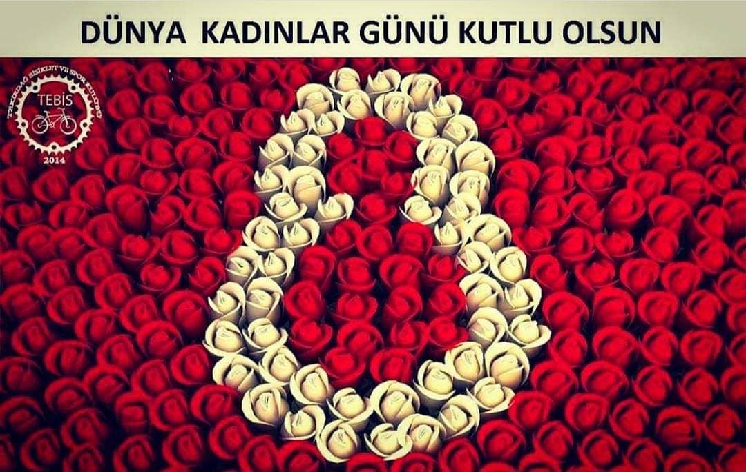 "Şuna inanmak lazımdır ki, dünya üzerinde gördüğümüz herşey kadının eseridir"  Mustafa Kemal ATATÜRK