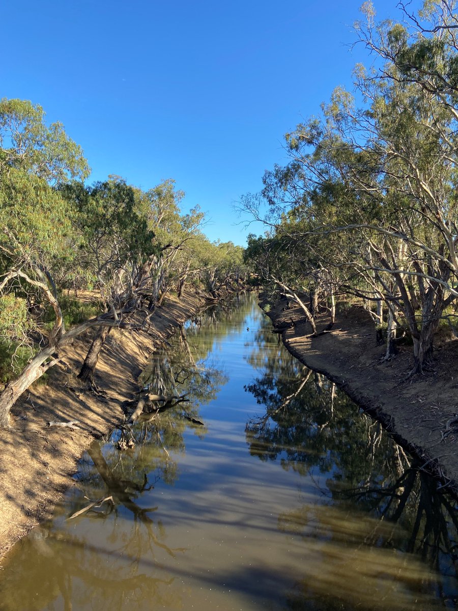 Eye_Institute's tweet image. Here are our first submissions for Glaucoma Australia's 7 Sights in 7 Days challenge. We couldn't decide between these two gorgeous river shots, so we're including them both! These are the Campaspe River in Echuca, VIC, and another river near Lorne, VIC. #TreatYourEyes