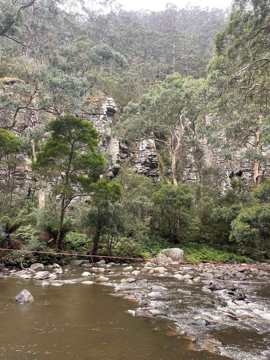 Eye_Institute's tweet image. Here are our first submissions for Glaucoma Australia's 7 Sights in 7 Days challenge. We couldn't decide between these two gorgeous river shots, so we're including them both! These are the Campaspe River in Echuca, VIC, and another river near Lorne, VIC. #TreatYourEyes
