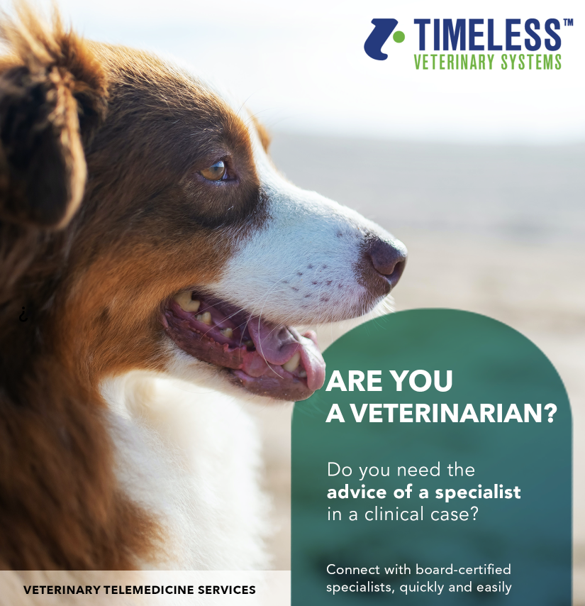 Timeless Veterinary tweet media