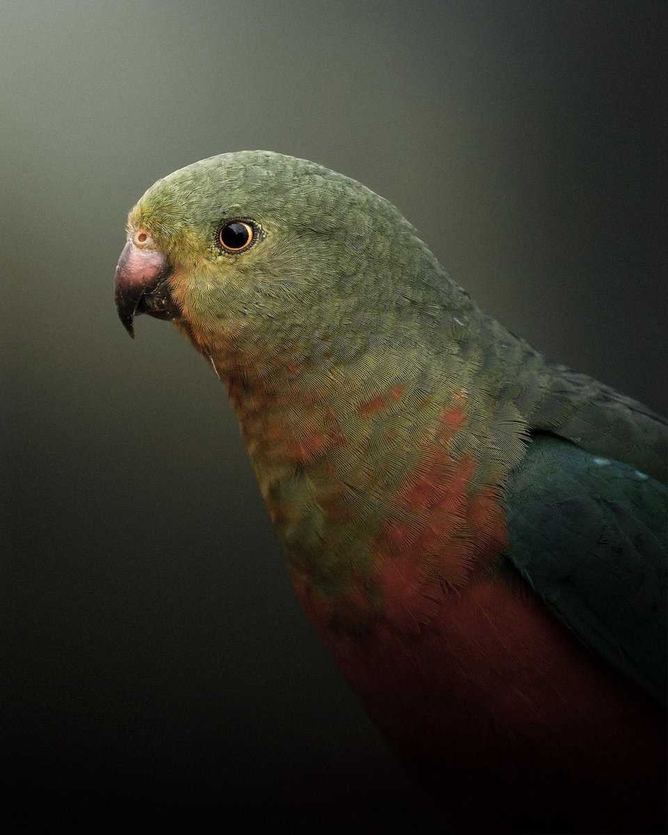 Some incredible female photographers that will forever inspire me — #InternationalWomensDay2022 🤍

<a href="/Melissa_F_Photo/">Melissa Findley</a>
@CharlySavely 
@_tinysarah 
<a href="/AfKaterina/">Katerina Armstrong</a> 
<a href="/Nisha_Photos/">Nisha Purushothaman</a> 
<a href="/cinnadine/">Nadine Bauer</a> 
<a href="/helloemilie/">Hello Emilie</a> 
<a href="/erinoutdoors/">Erin Sullivan</a> 
<a href="/freeilli/">Sage Love</a> 
<a href="/lea_milde/">Lea Milde</a> 
<a href="/gabriellamort/">ella</a> 
<a href="/aarzoo_khurana/">Aarzoo Khurana</a>