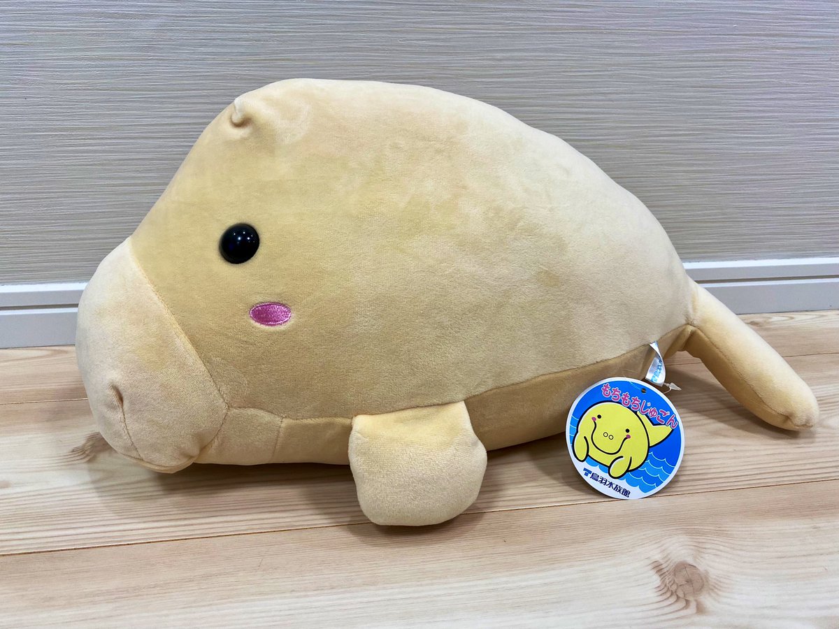 nico_bustour's tweet photo. 鳥羽水族館で購入した“もちもちじゅごん(大)”を1名様にプレゼント🎁

▼応募方法
➡️@nico_bustour をフォロー
➡️このツイートをRT

※ 全長:約45cm×高さ約20cm×左右の前ひれ間の幅約30cm

締切:2022/4/8(金) 当選はDMでお知らせします！

#ニコニコバスツアー #ニコバス https://t.co/S028DJFPH2