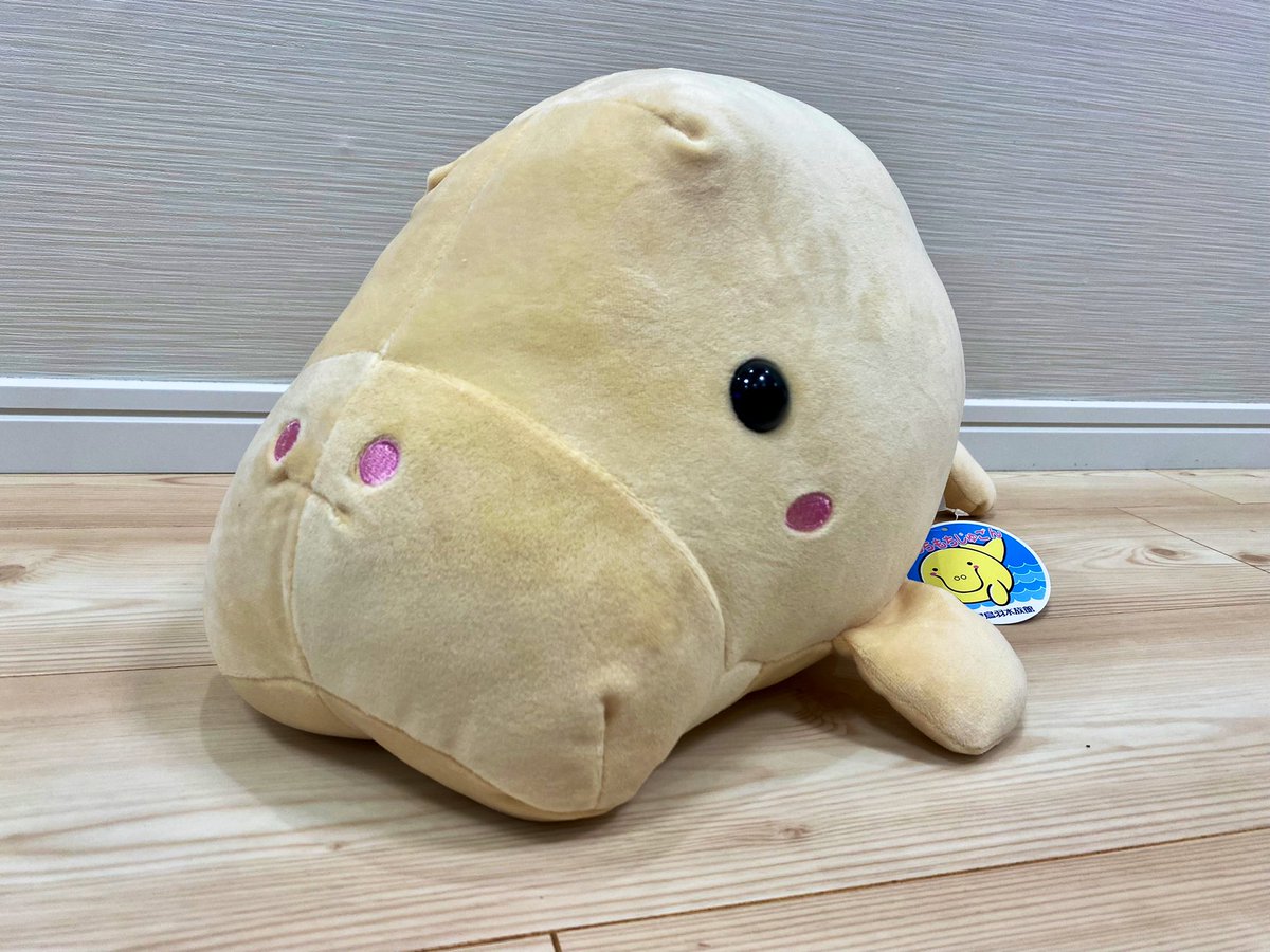 nico_bustour's tweet photo. 鳥羽水族館で購入した“もちもちじゅごん(大)”を1名様にプレゼント🎁

▼応募方法
➡️@nico_bustour をフォロー
➡️このツイートをRT

※ 全長:約45cm×高さ約20cm×左右の前ひれ間の幅約30cm

締切:2022/4/8(金) 当選はDMでお知らせします！

#ニコニコバスツアー #ニコバス https://t.co/S028DJFPH2