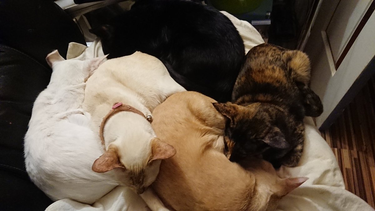 The easy life